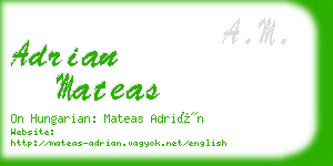 adrian mateas business card